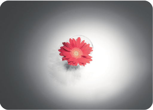 家用日光灯照明效果